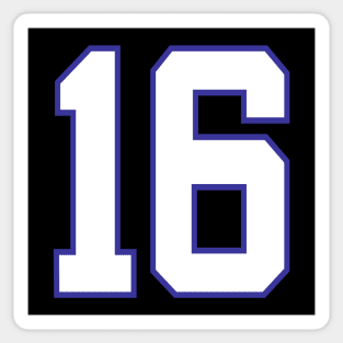 Team Number 16 Sticker